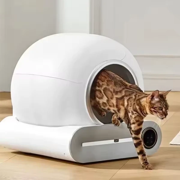 LitiAuto Pro™ vue intérieure